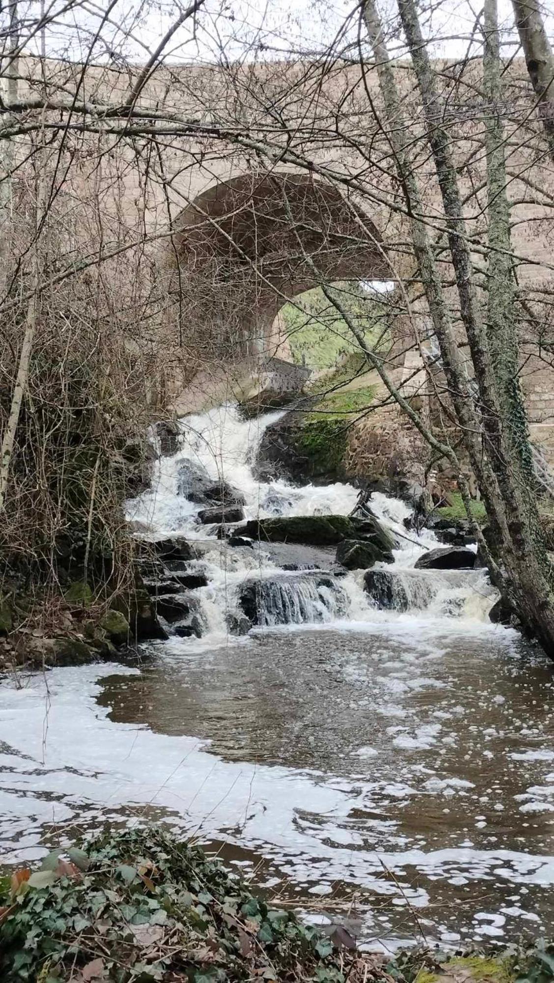 Gite "La Petite" Saint-Benoit-du-Sault Buitenkant foto